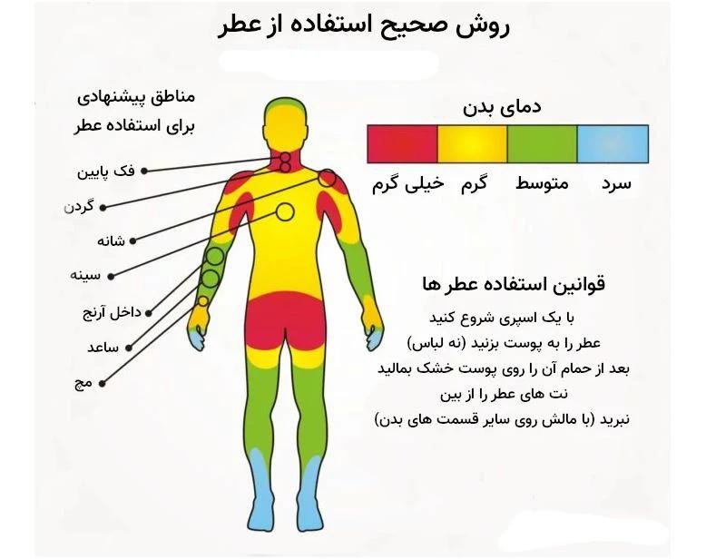 راهنمای خرید عطر برای آقایان