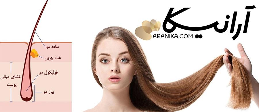 تقویت ریشه مو