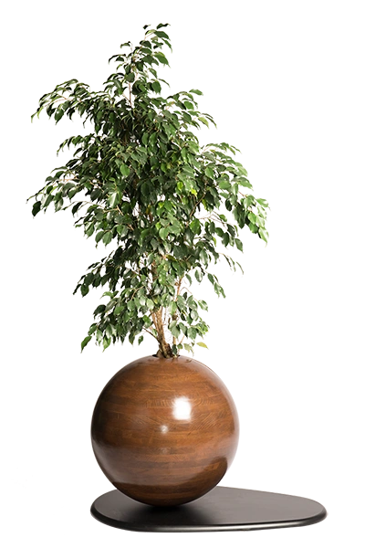 کره چوبی بزرگ