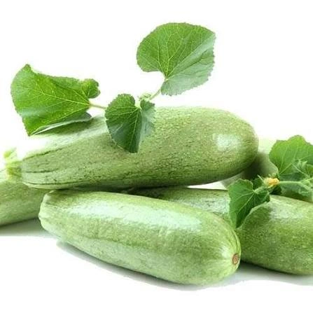 کدو خورشتی