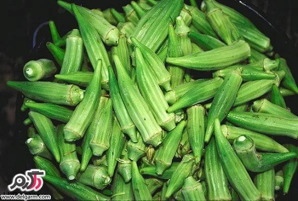 بامیه درجه یک