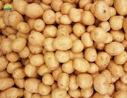 سیب زمینی ریز