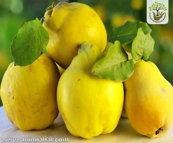 به اصفهان درجه دو
