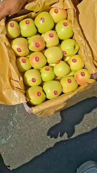 سیب لب ماتیکی
