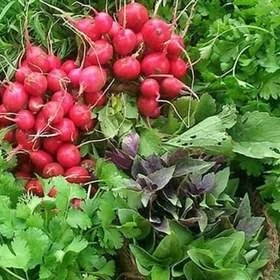 سبزی خوردن پاک نشده