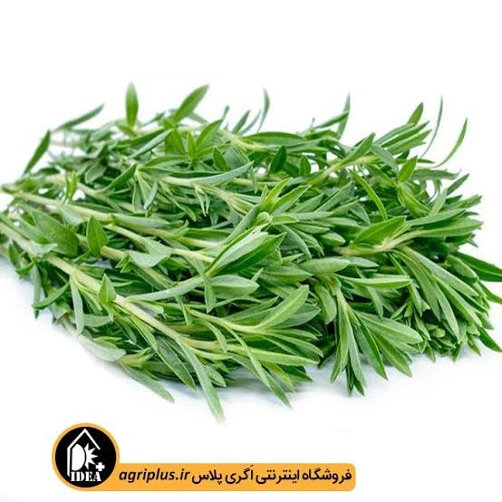 نیم کیلو ترخان پاک شده شسته شده