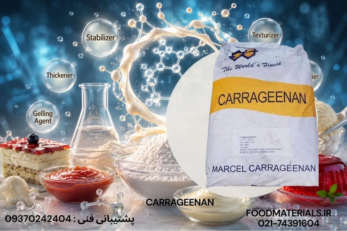 کاراگینان تصویه شده فیلیپینی