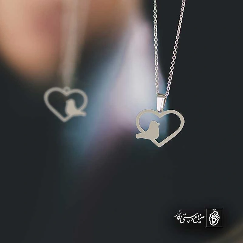 قلب پرنده