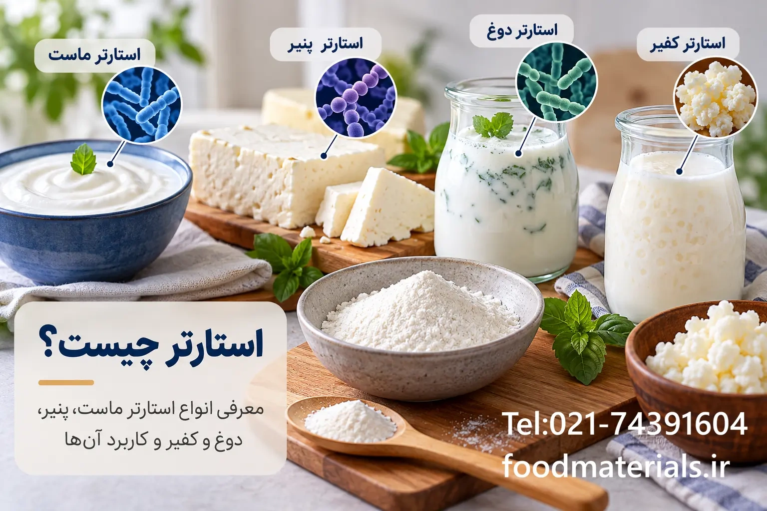 استارتر چیست؟ معرفی انواع استارتر ماست، پنیر و کفیر
