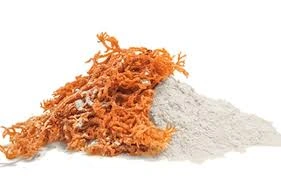 کاراگینان،انواع آن و ویژگی های فیزیکیوشیمیایی