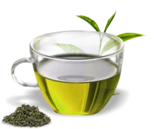 نوشیدنی های گرم