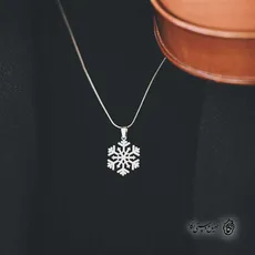 پلاک برف کد 40432