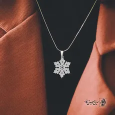 پلاک برف کد 40441