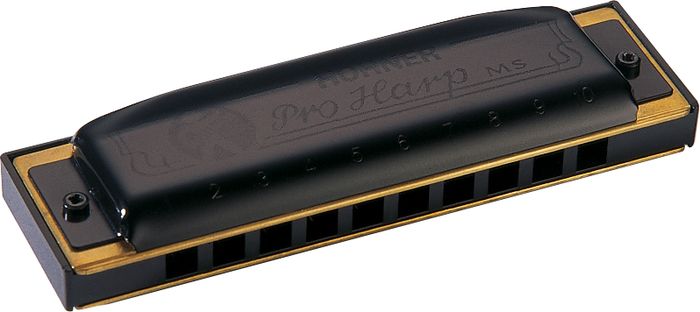 سازدهنی دیاتونیک هوهنر مدل PRO HARP 