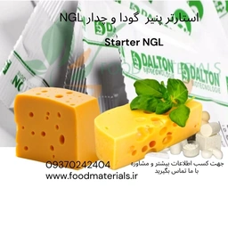 استارتر پنیرهای گودا و چدار شرکت دالتون