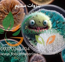 بنزوات سدیم خوراکی E211 مناسب صنایع غذایی