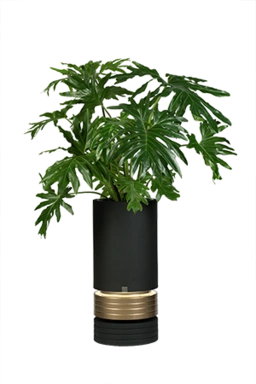 سیلندری دو پایه-خودآبیار