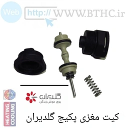 10 عددی  / / مغزی پکیج گلدیران  SPOCO  کد  0368  E  . .