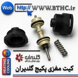 مغزی پکیج گلدیران  rg  کد  8969 us