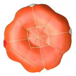 91077385249313.jpg