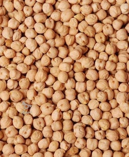 نخود درجه يک