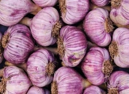 سیر قرمز تاروم