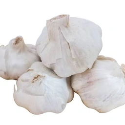 سیر سفید همدان
