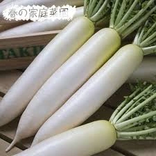 ترب
