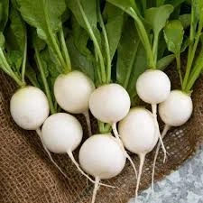 ترب