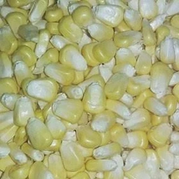 ذرت معمولی دون شده
