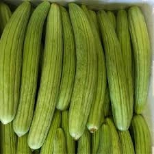 خیار چنبر