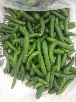 خیار بوته شوری