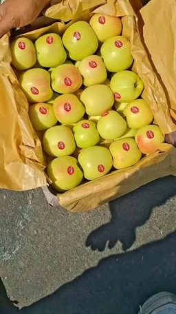 سیب لب ماتیکی