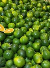 نارنگی پوست سبز شیرین