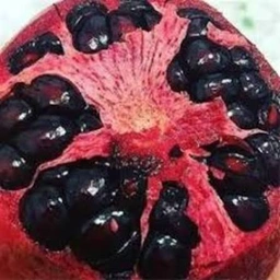 انار دونه سیاه