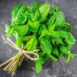 نعنا یک کیلو