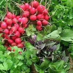 سبزی خوردن پاک نشده