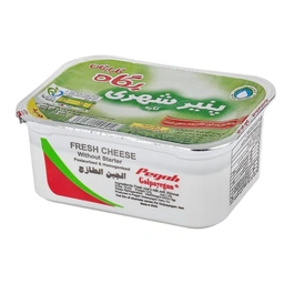 پنیر سنتی 300گ پگاه