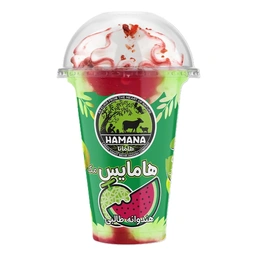 بستنی آیس پک هندوانه طالبی هامایس