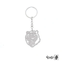 جاسوئیچی خرس کد 1393