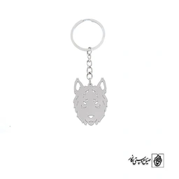 جاسوئیچی گرگ کد 234
