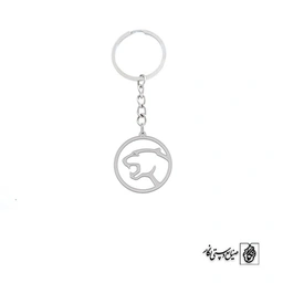 جاسوئیچی پلنگ کد 281