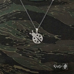 کفشدوزک