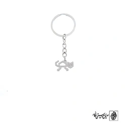 جاسوئیچی گربه کد 571
