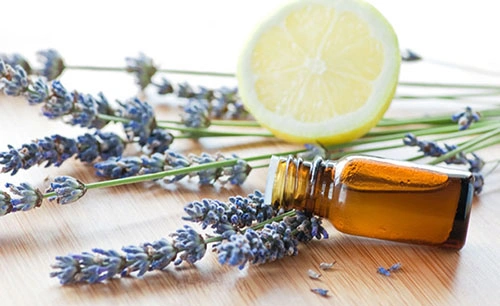 تاثیر عطرها در زندگی ما